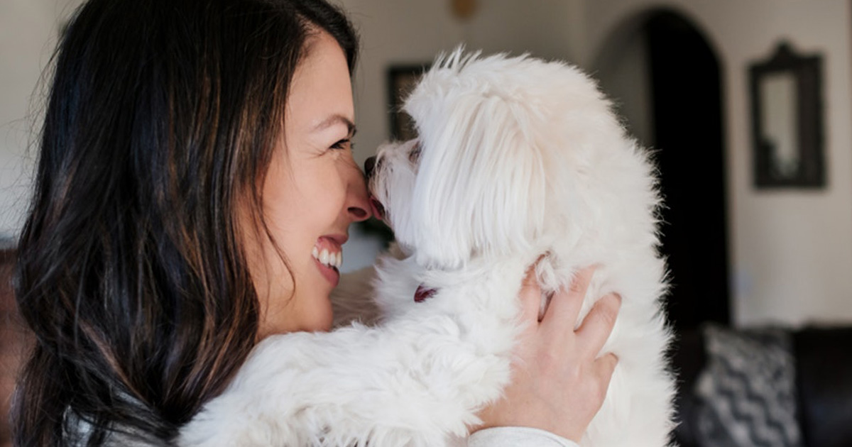 6 Vorteile einen Hund zu besitzen, die dein Leben für immer verändern werden