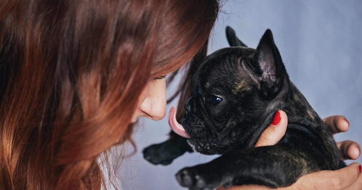 22 Nachrichten auf Instagram die uns auf den Tag der Babytiere vorbereiten